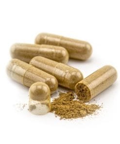 Iboga root bark capsules – sustainable, wild-harvested product
