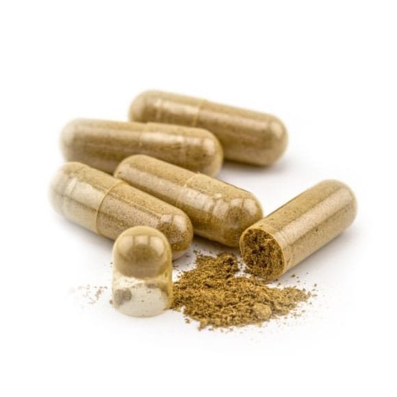 /buy-iboga-capsules-root-bark-psychoactive-research Iboga root bark capsules – sustainable, wild-harvested product
